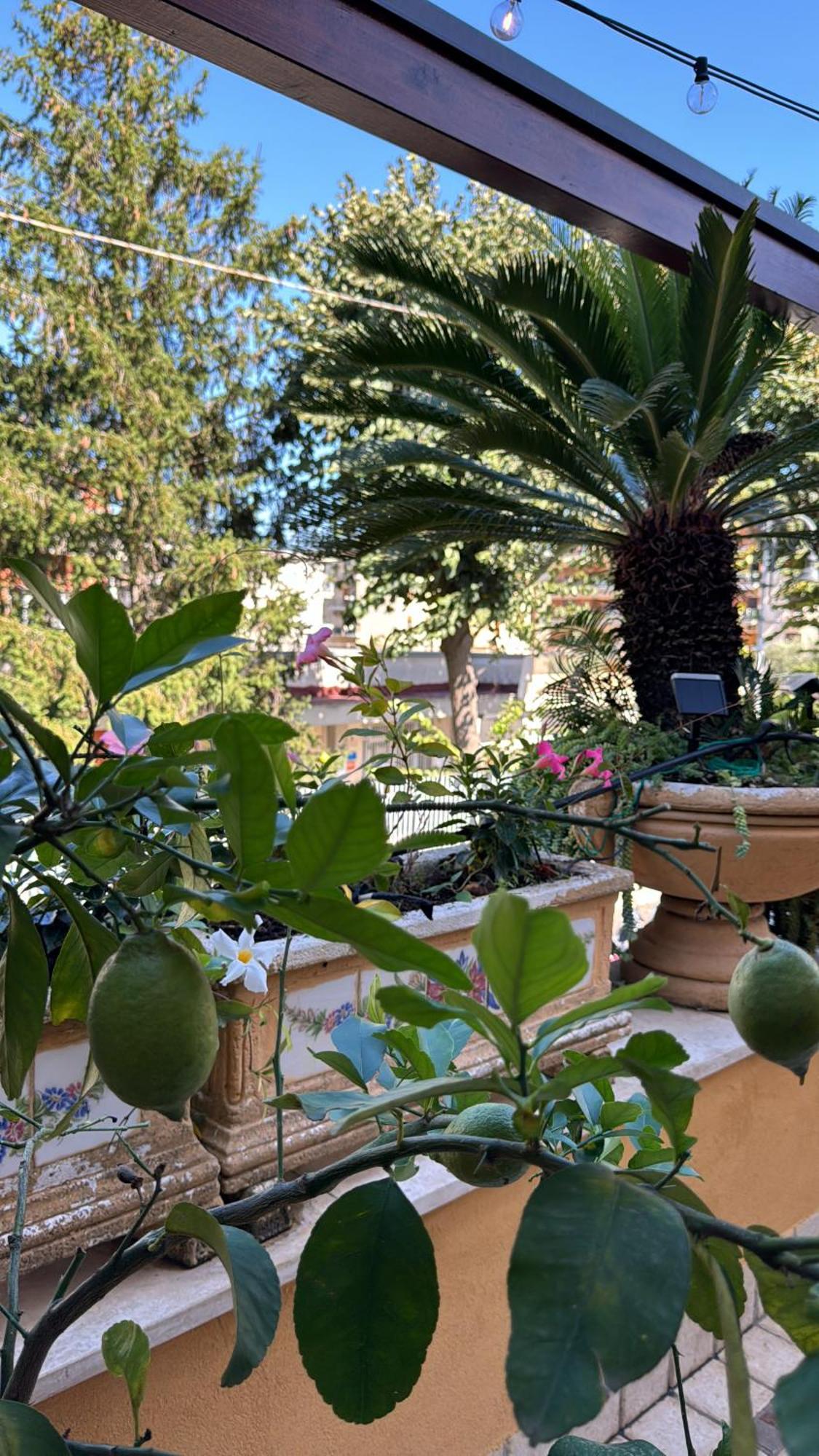 Relais Sorrento Terrace And Relax Bed & Breakfast Luaran gambar